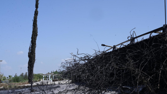 השריפות בהרי ירושלים, לטרון