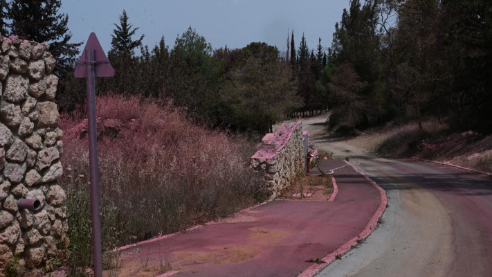פאתי נווה שלום, השריפות בהרי ירושלים