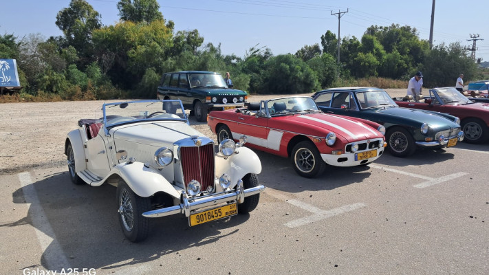 רכבי אספנים (צילום: משה כהן)