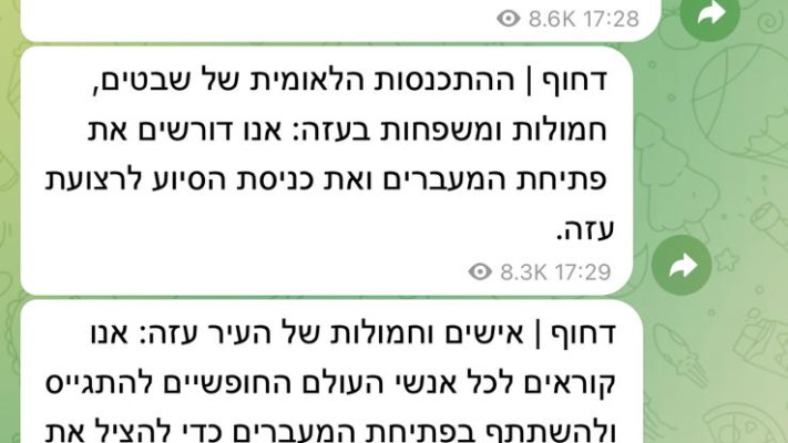 דיווחים בטלגרם על עזה (צילום: צילום מסך טלגרם)