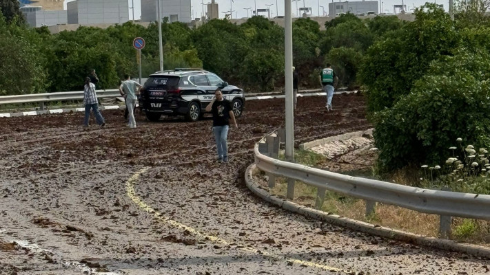 נפילה סמוך לנתב''ג (צילום: שימוש לפי סעיף 27א')