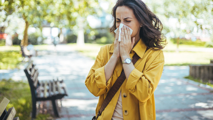 עונת האלרגיות 