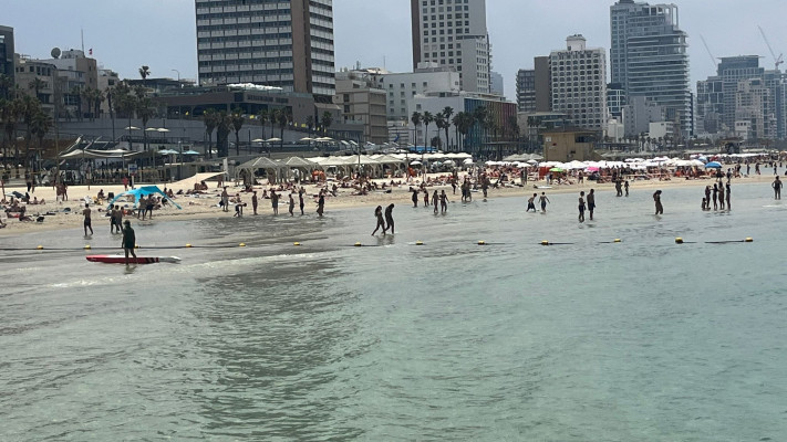 חוף הים, תל אביב (צילום: מאיה כהן)