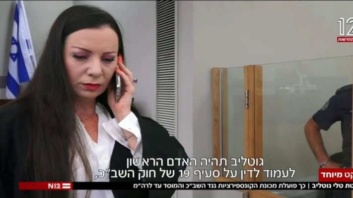טלי גוטליב (צילום: צילום מסך חדשות 12)