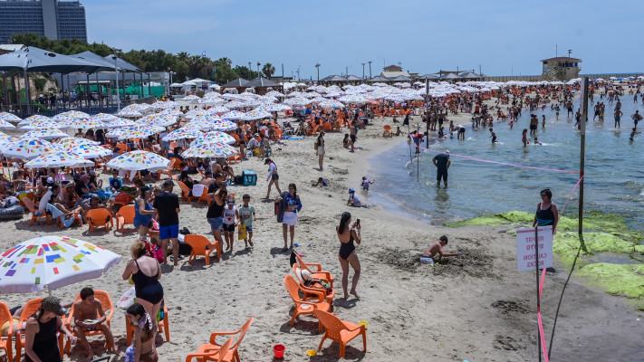 חוף הים בתל אביב בשבוע שעבר