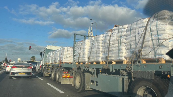 משאיות חיטה כחלק מהסיוע ההומניטרי בדרך לעזה (צילום: אבי אשכנזי)