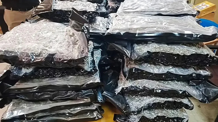 הסמים שנתפסו עם שרלוט מיי לי