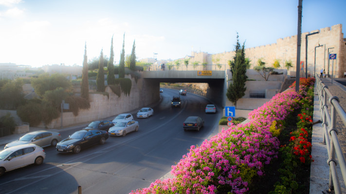 גן לאומי סובב חומות ירושלים (צילום: רשות הטבע והגנים,דביר שינובר)
