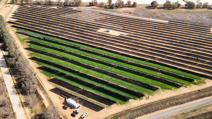 חוות החיטה עם הלוחות הסולאריים במושב ישע
