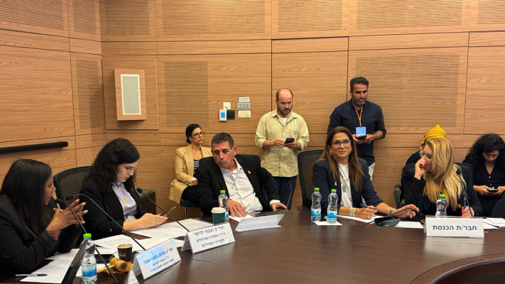 הוועדה המיוחדת לענייני צעירים בסוגיית ריבוי עדויות על פגיעה מינית טקסית (צילום: דוברות הכנסת)