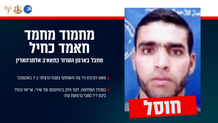 חיסולו של המחבל מחמוד מחמד חאמד (צילום: דובר צה''ל)