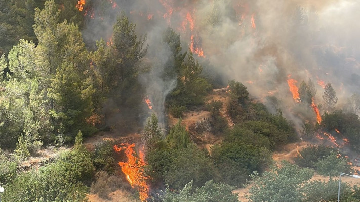 שריפה באזור ירושלים