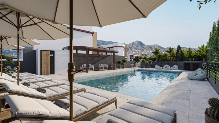 בריכת הפרויקט Blue Coral Homes, הדמיה מטעם קבוצת A.M.Y Properties(צילום: iStock)