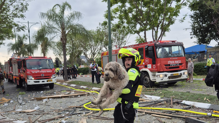  שמואל מובשוביץ, חובש מתנדב ביחידת האופנועים של מד''א, מחלץ כלב (צילום: אהרון הס, דוברות מד''א)