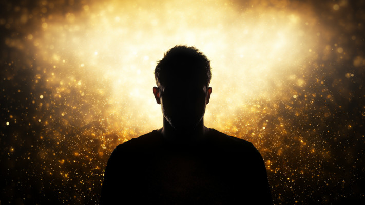 צללית  TMI (צילום: מערכת TMI)