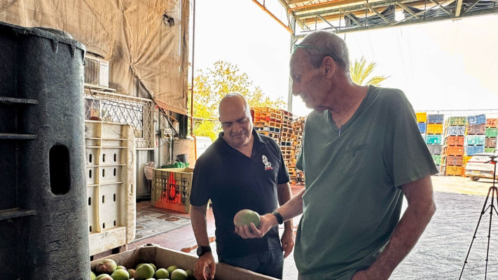 אבשי הרצוג וסמיח סמארה