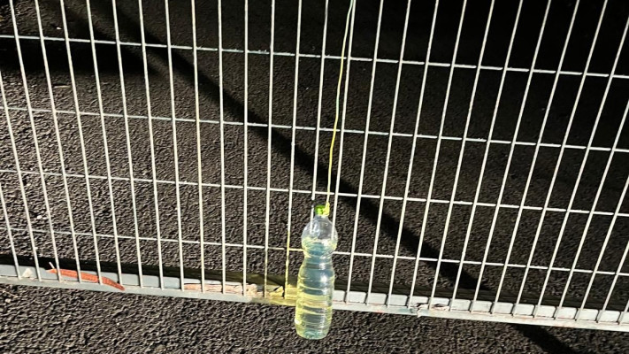 פרוטקשן בצפון