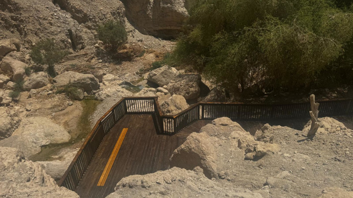 תצפית נחל דוד לאחר השיקום (צילום: שלומית שביט, רשות הטבע והגנים)