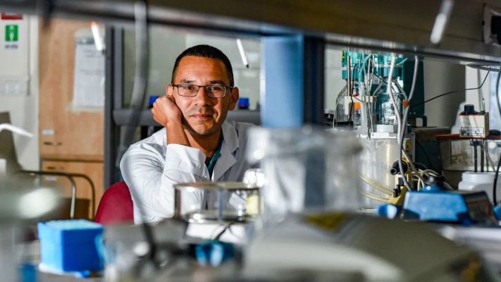 פרופ' אורי לזמס