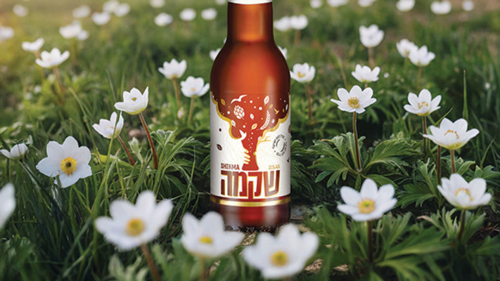 בירה שקמה (צילום: יח''צ)
