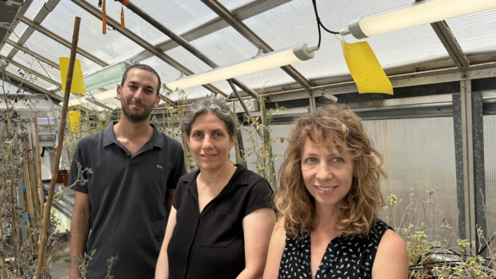 ד''ר רעיה זלצר, פרופ' לילך הדני וגיא זר אשל (צילום: אוניברסיטת תל אביב)