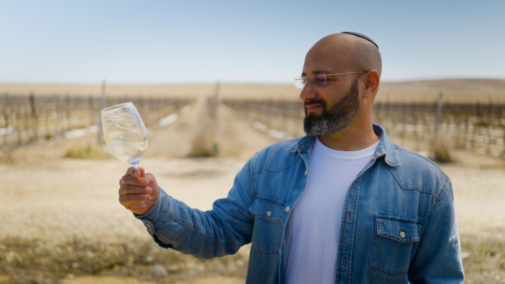 הלל פורת (צילום: פרטי)