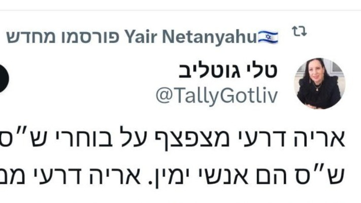יאיר נתניהו משתף את הציוץ של טלי גוטליב נגד אריה דרעי (צילום: צילום מסך רשת X)