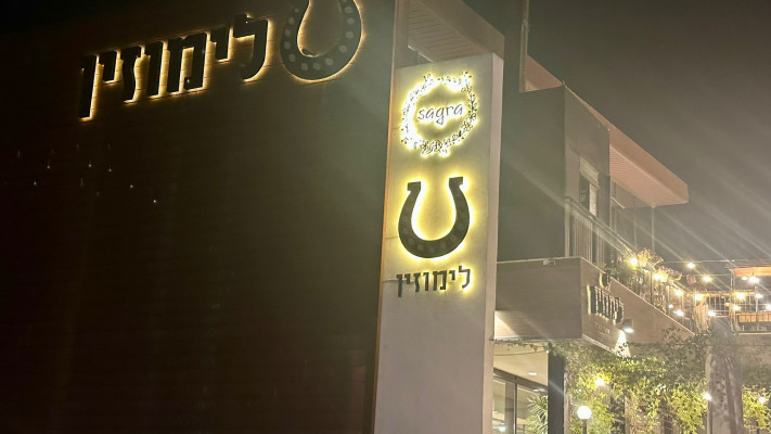 לימוזין (צילום: בתיה גלעדי)