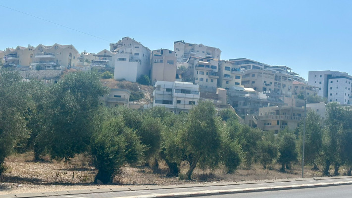 עיר הבירה של החרדים? רכסים 