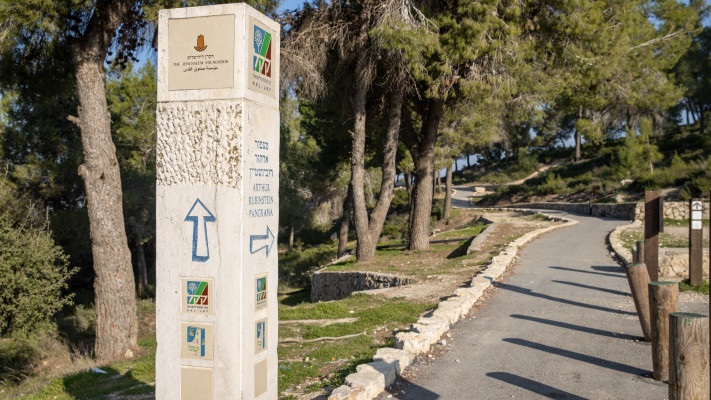 מצפור ארתור רובינשטיין ביער עמינדב (צילום: אלכס קולומויסקי)