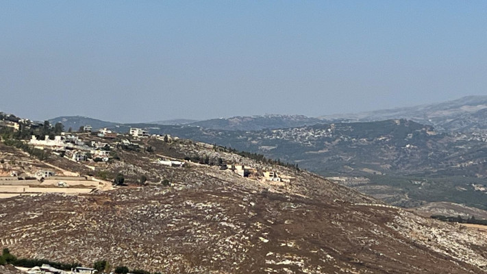 דרום לבנון  (צילום: אבי אשכנזי)