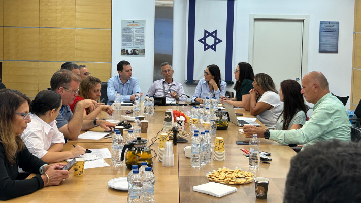 הוועדה לעובדים זרים (צילום: ללא קרדיט)