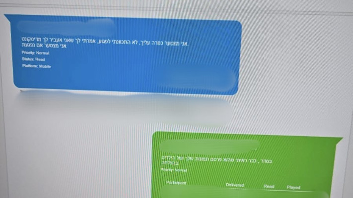 צ'אט של החשוד עם אחד הגברים (צילום: דוברות המשטרה)