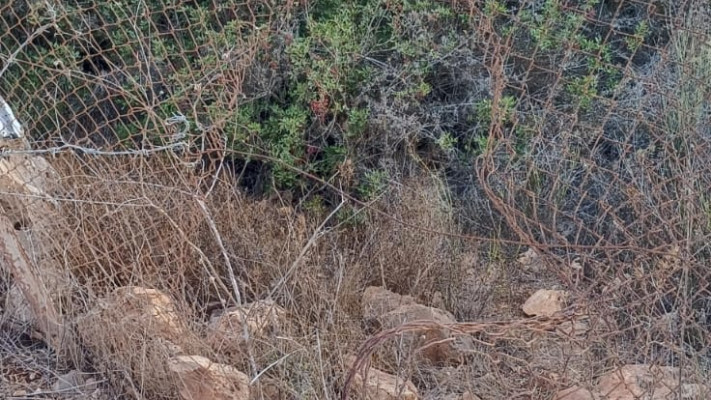 גדר רעועה באחד מיישובי משגב