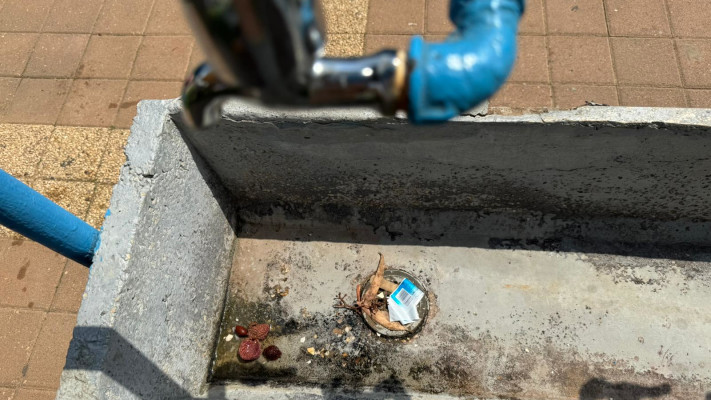 פארק המים ''מימדיון''