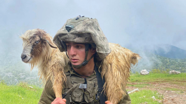 רגב אמר ז''ל