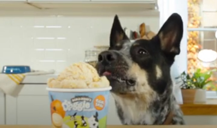 Believe it or not: Ben & Jerry’s has released dog ice cream