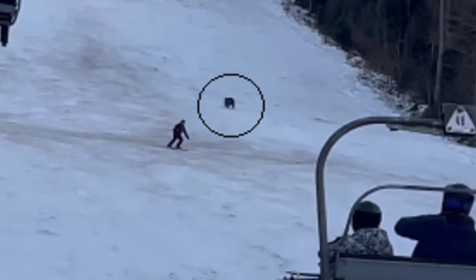 “Do not look back”: Bear documented chasing skier  That’s how it ended