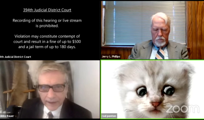 During a court hearing in Zoom: A lawyer mistakenly appeared as a cute cat  Watch