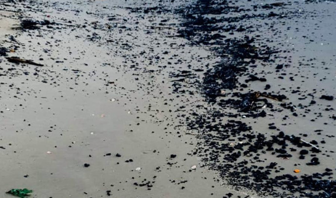 Tar disaster: The Ministries of Environmental Protection returned some of the beaches to activity