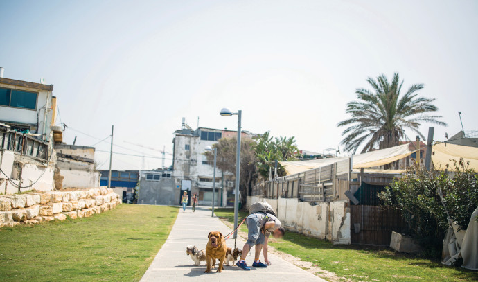 נתן זהבי: הסכמתי להקליט פרסומת אחרי שנים של סירובים | מעריב