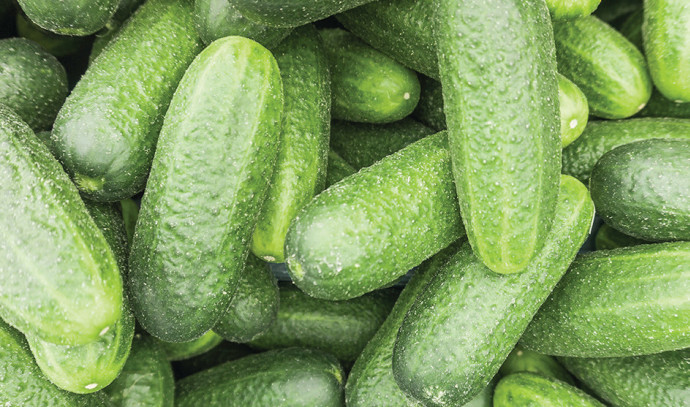 Everything you didn’t know about the cucumber