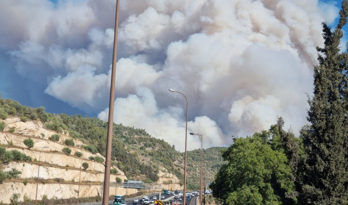 השריפה בהרי ירושלים: "אנחנו בין הייאוש לתקווה" | חדשות מעריב