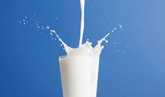 Can milk substitutes fulfill the body’s nutritional needs?