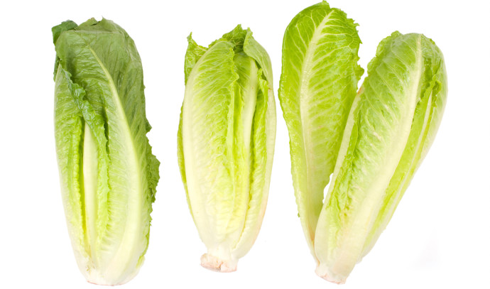 What are the benefits of lettuce?  Dr. Maya Roseman explains