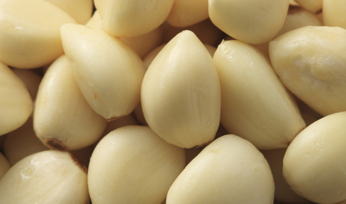 The Health Benefits of Garlic: Discovering Nature’s Powerful “Antibiotic”