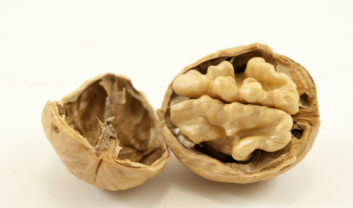 Research Shows How Eating Nuts Can Impact Brain Function