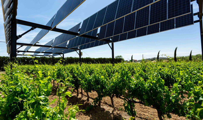 Israeli Company Installs Solar Roof on 300 Dunams of Vineyard in France