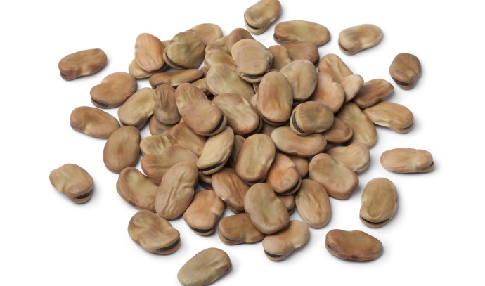 The Surprising Health Benefits of Eating Beans: What You Didn’t Know About This Legume