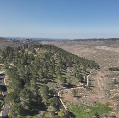 דרך נוף יער גבעות (צילום: המועצה האזורית גוש עציון)